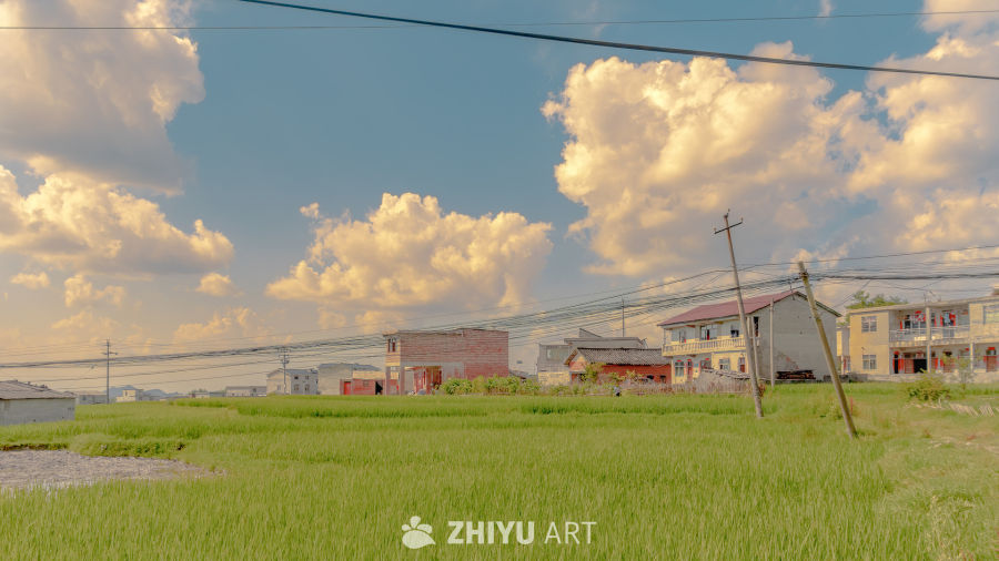 乡下的风景