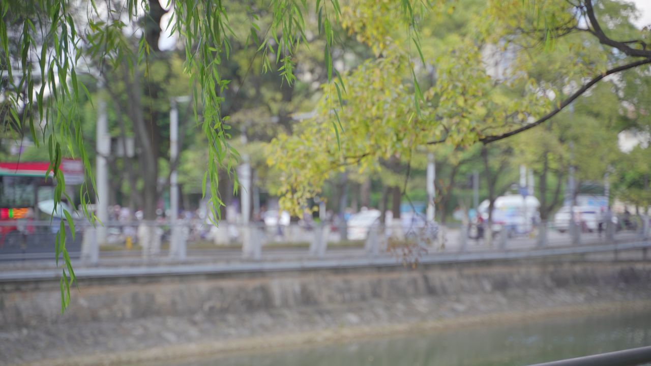秋色