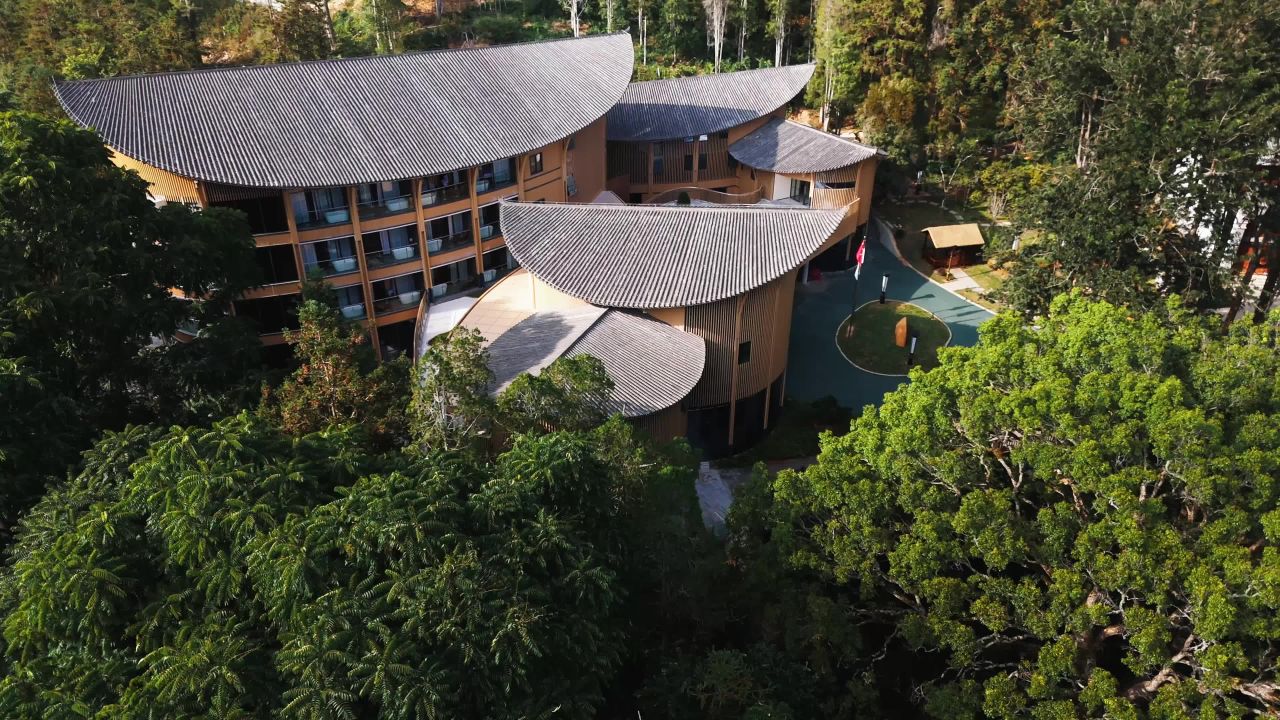 森林中的现代建筑