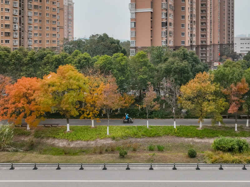 昆山道路上的秋冬景色 2
