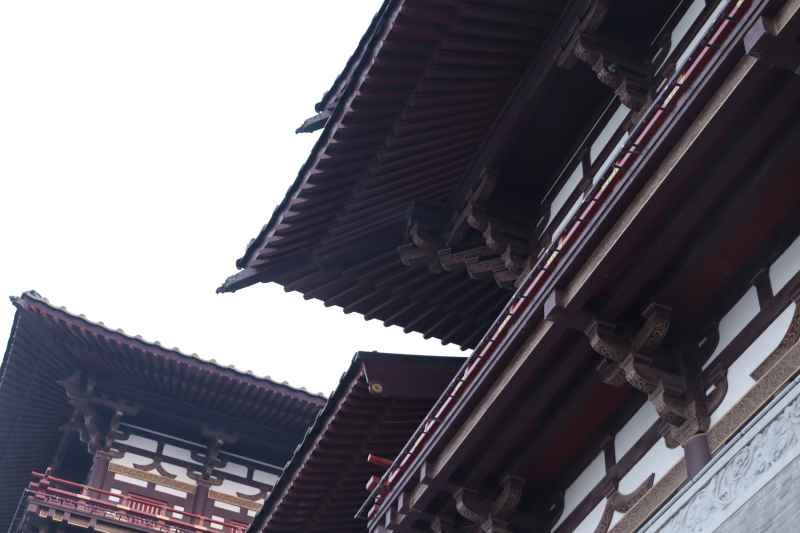 洛阳随拍 108