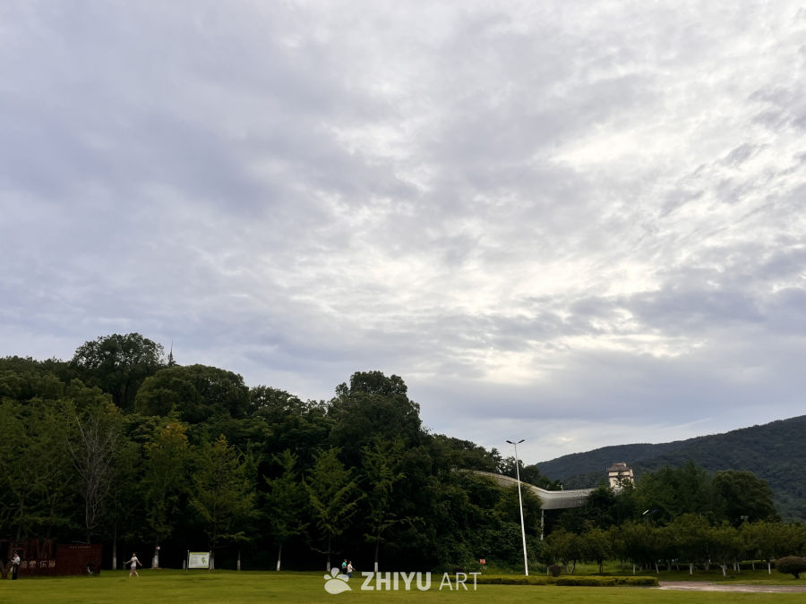 绿意盎然的山间草地