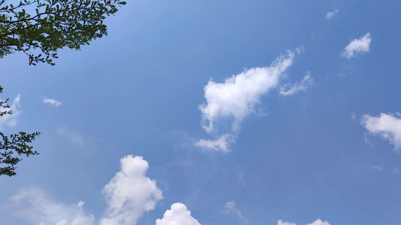 4K夏日蓝天白云绿树蝉鸣