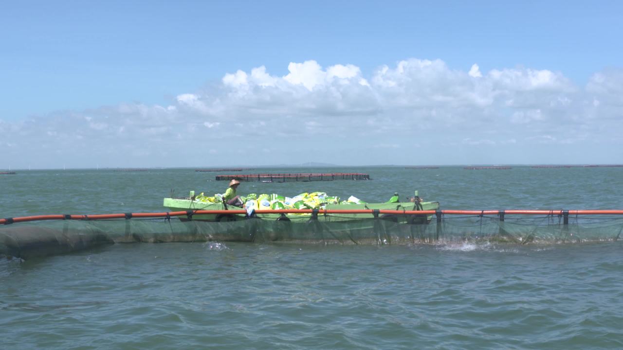 海洋牧场深海养殖