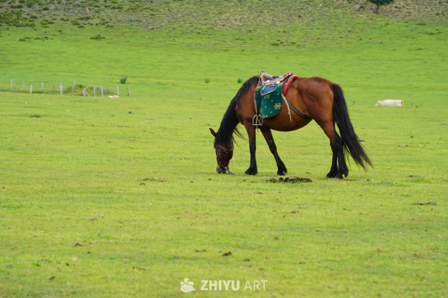 内蒙古东部小环线随拍 2