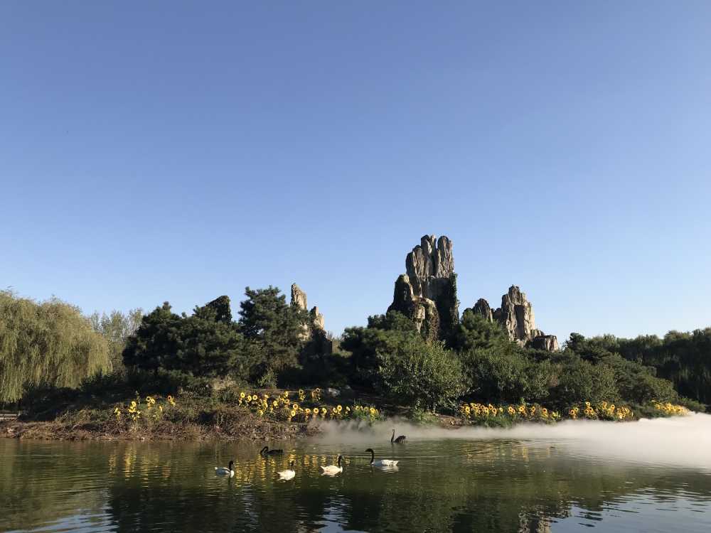 雾下美景