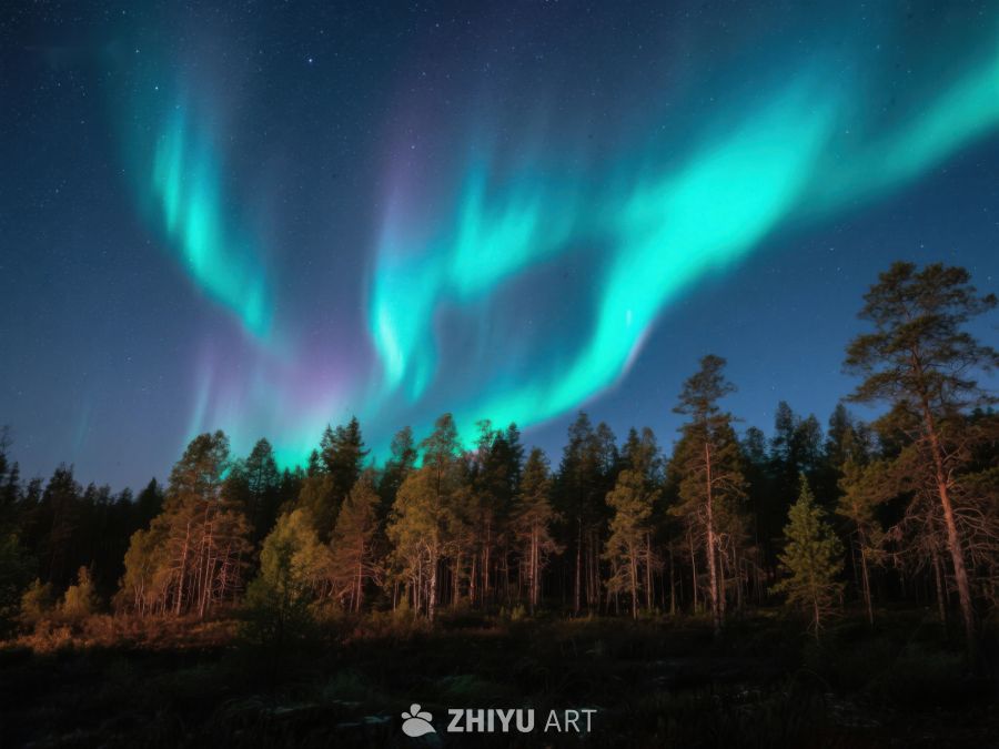 极光下的森林夜景 40