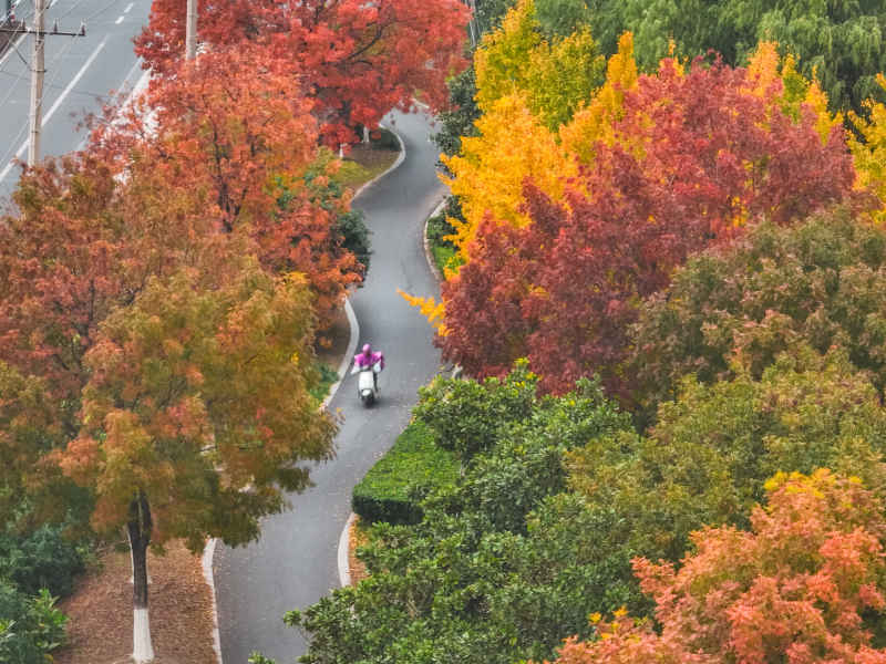 昆山道路上的秋冬景色 19