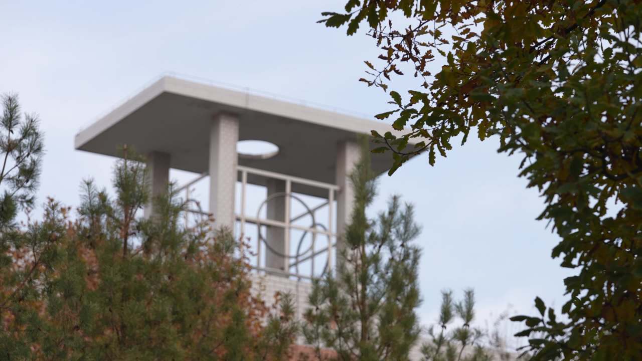 校园里的大学生