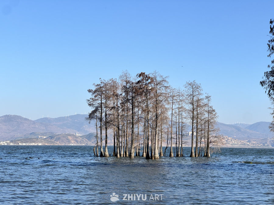 大理风光 12