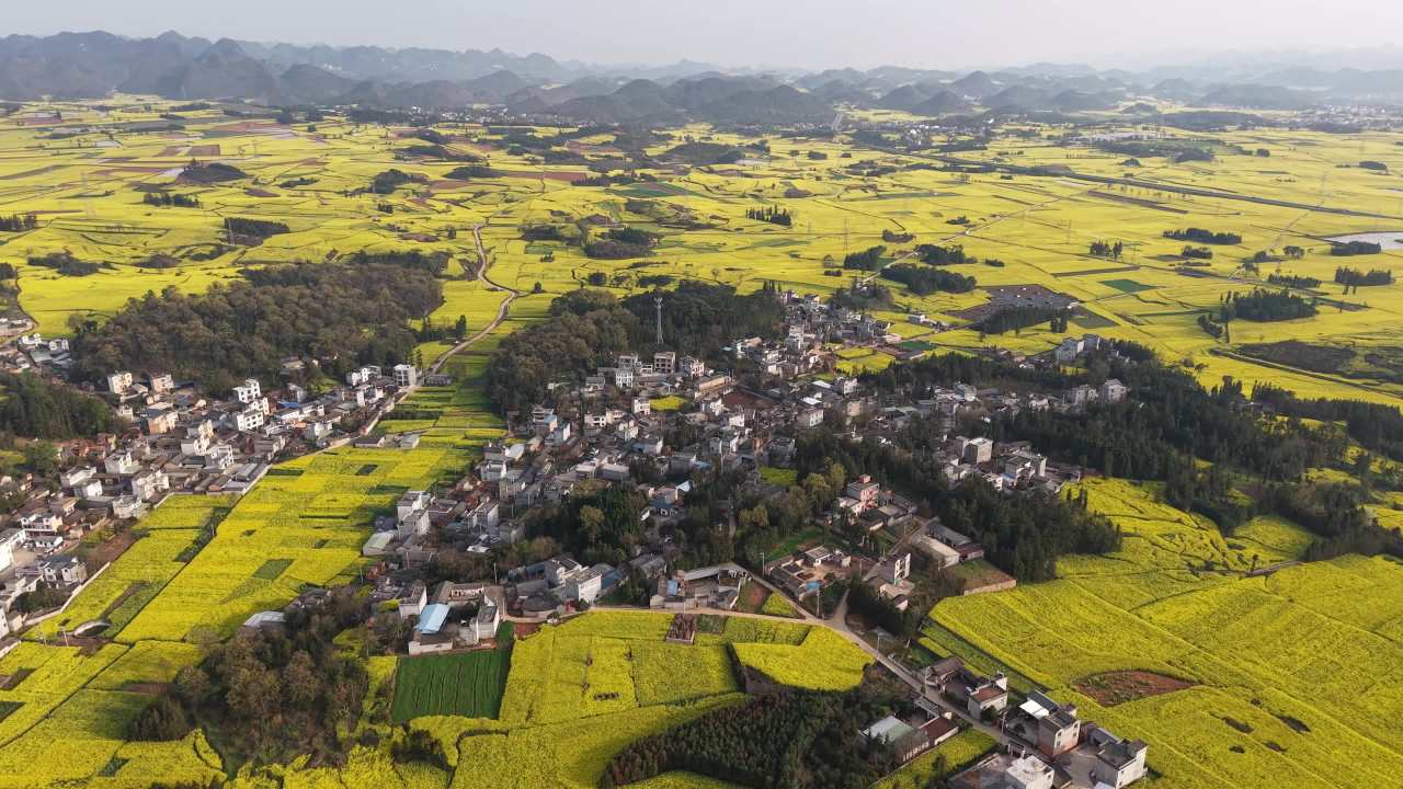 油菜花海中的宁静村庄