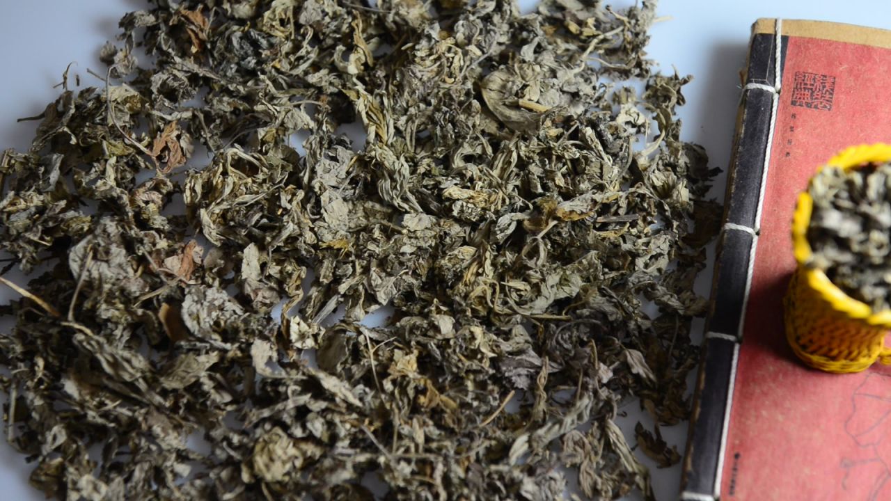 艾叶中草药 15