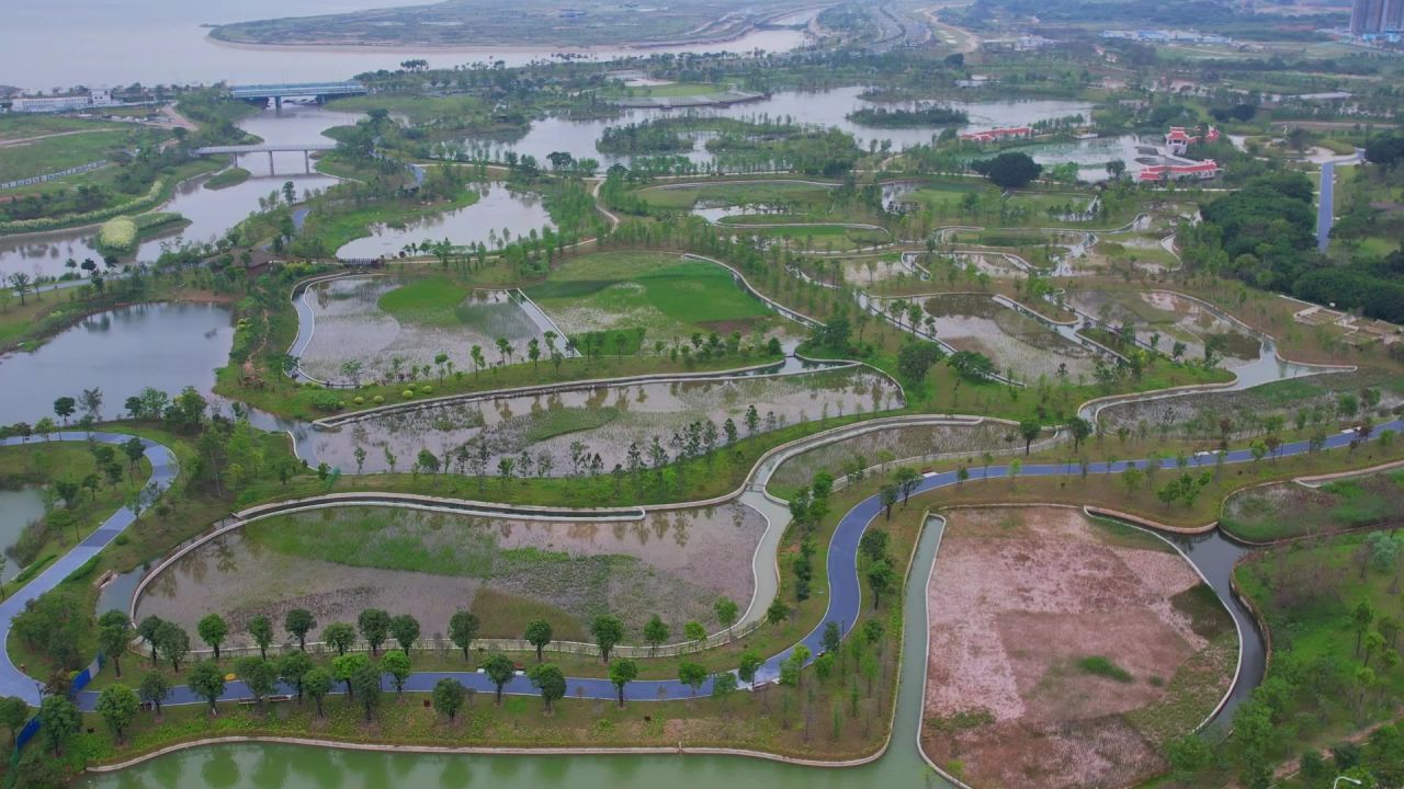 航拍厦门马銮湾双溪湿地公园 7