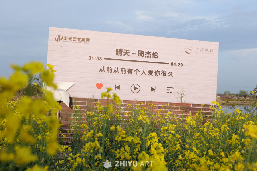 油菜花海 14