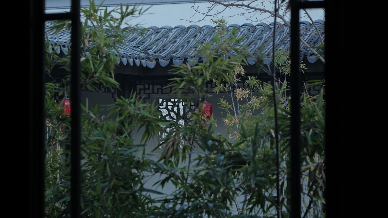 苏式园林竹子 4k 慢动作