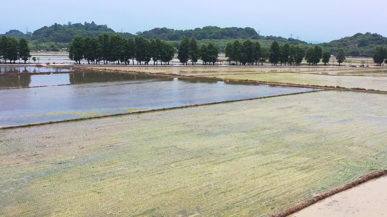 稻田路航拍