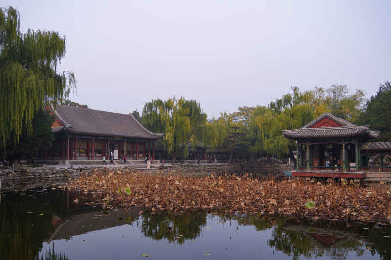 颐和园庭院