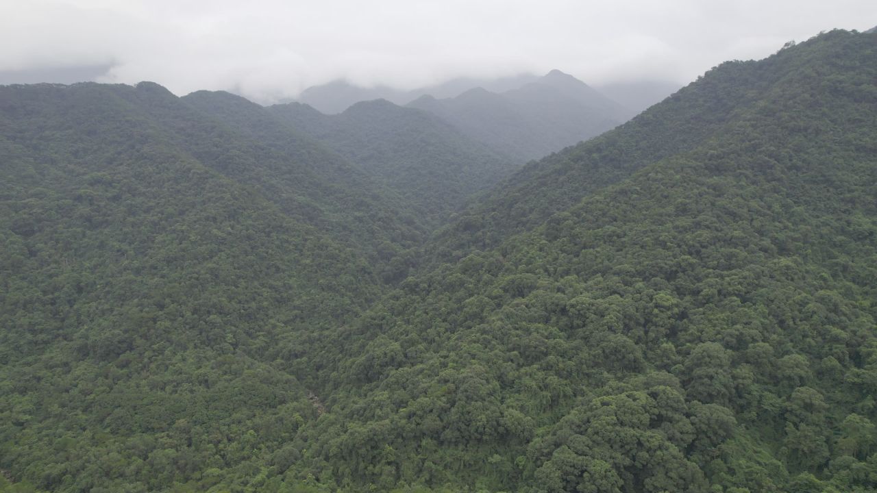 广西十万大山 1