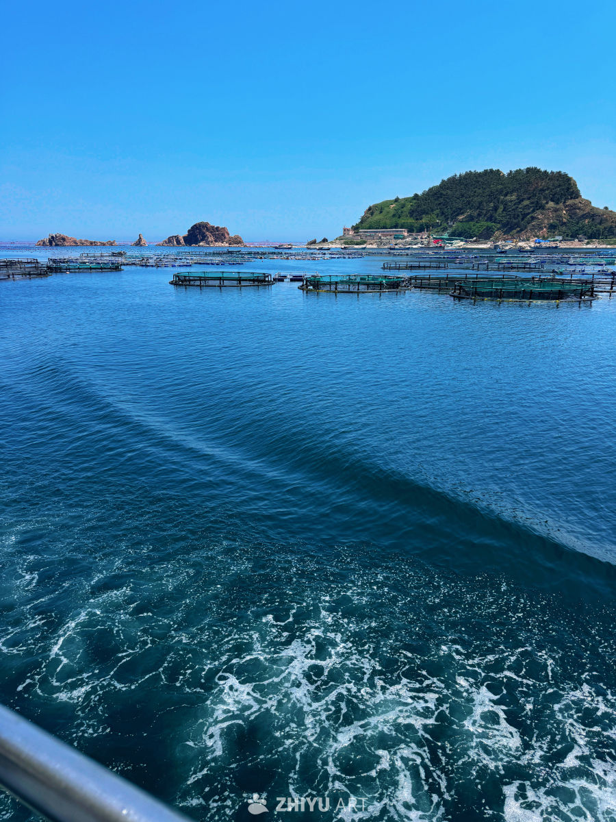翠岛环拥