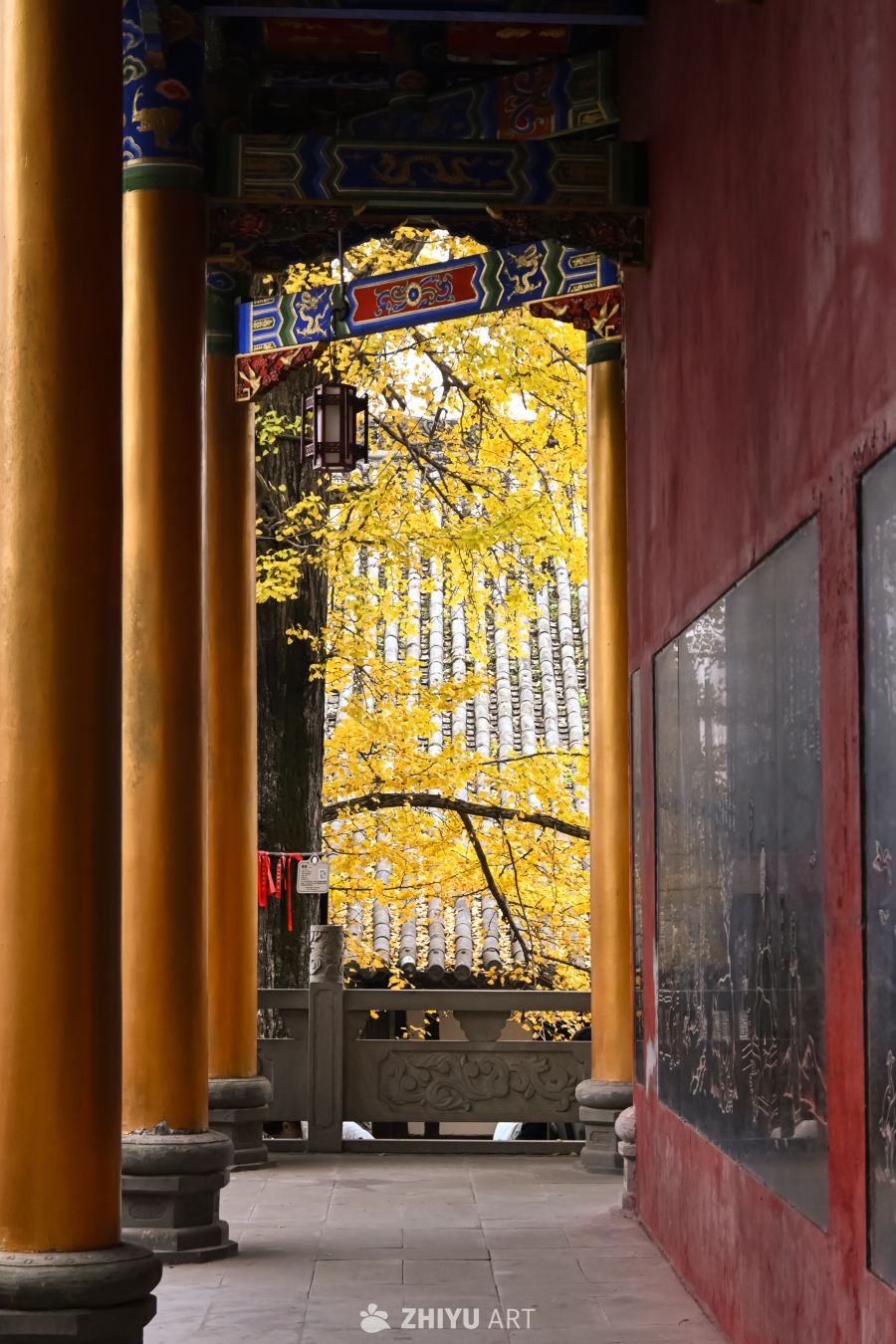 山寺银杏染秋黄