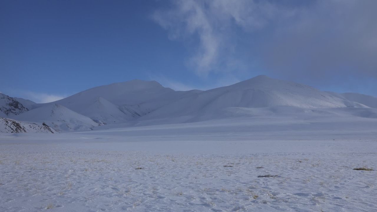 冰天雪地