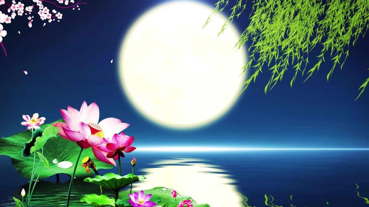 唯美大海上升月亮白月光蓝色夜空圆月明月大屏幕舞台LED视频  130