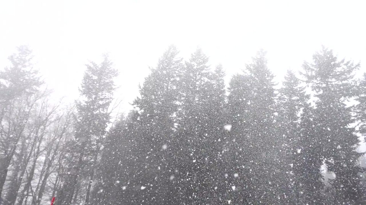 降雪雪雪花雪暴