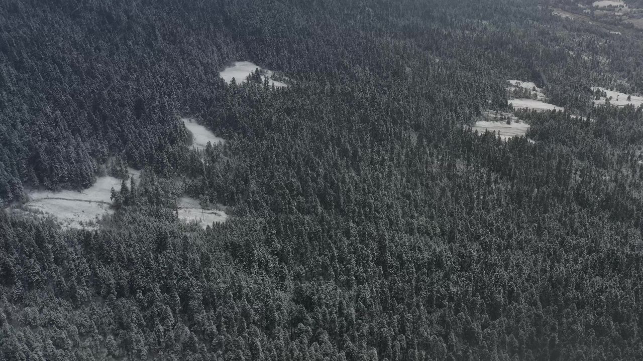 航拍大雪纷飞的鲁朗林海