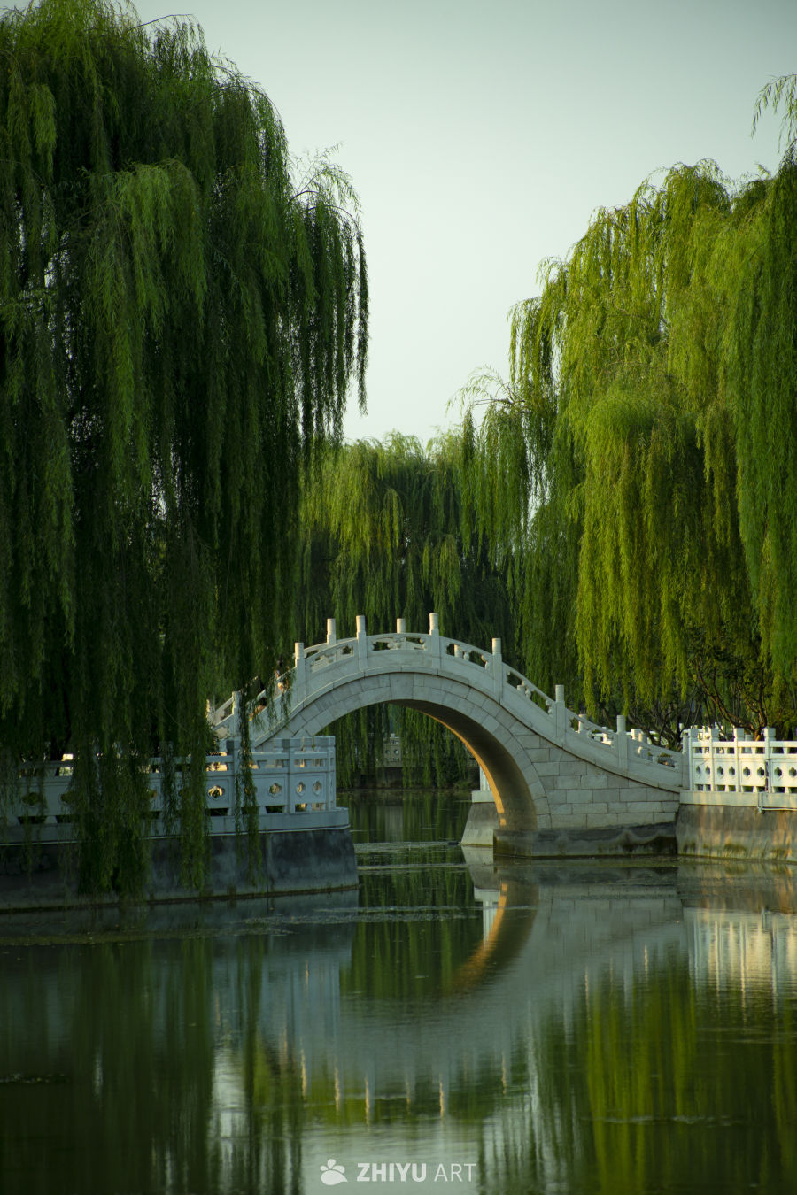 垂柳石桥映湖光