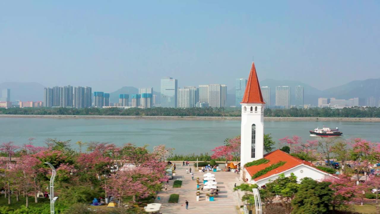 二四年珠海横琴花海长廊异木棉四