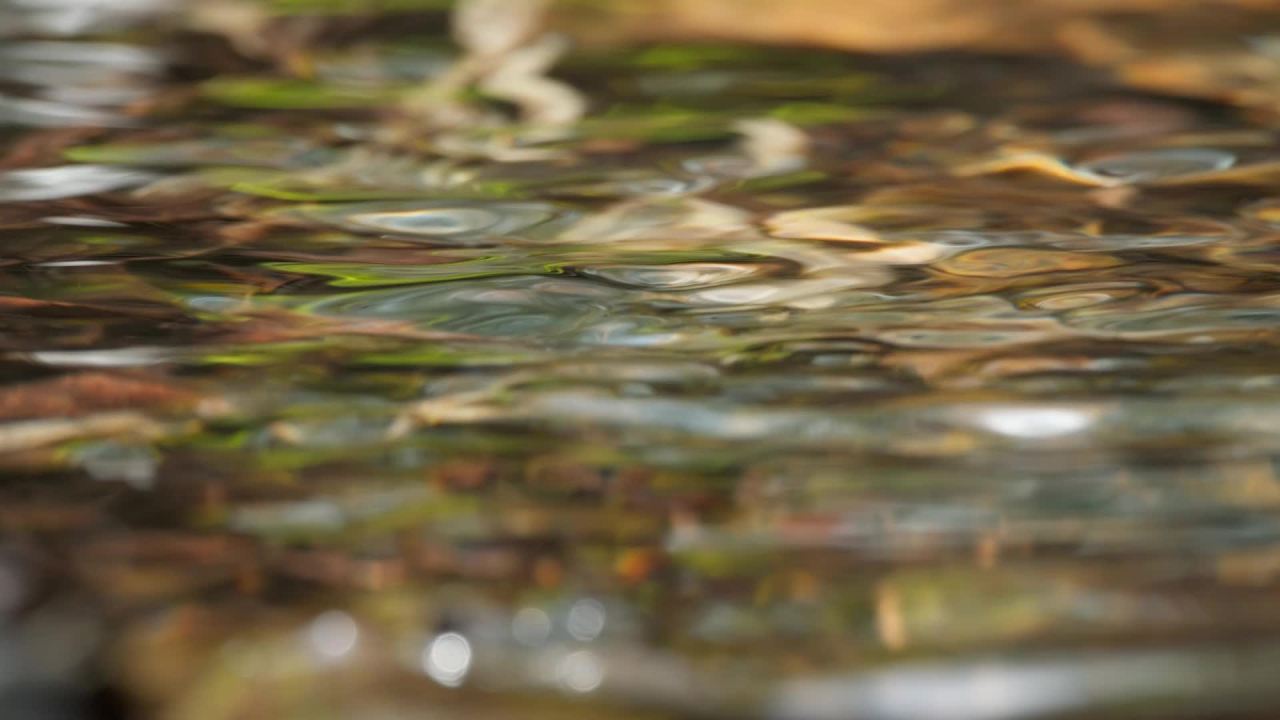 山泉水矿泉水潺潺小溪流水瀑布 27