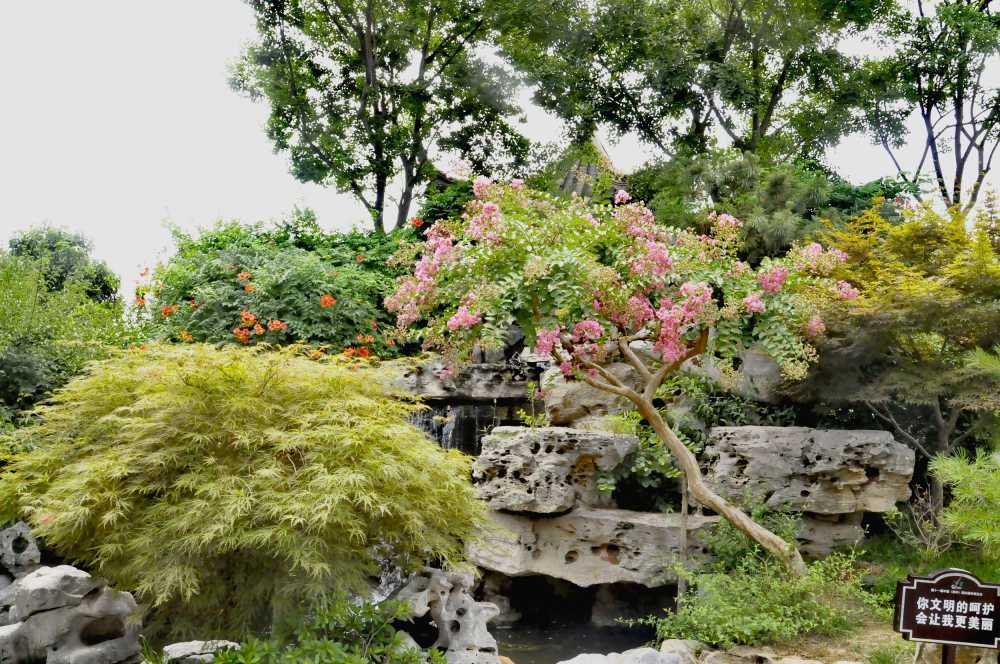 风景