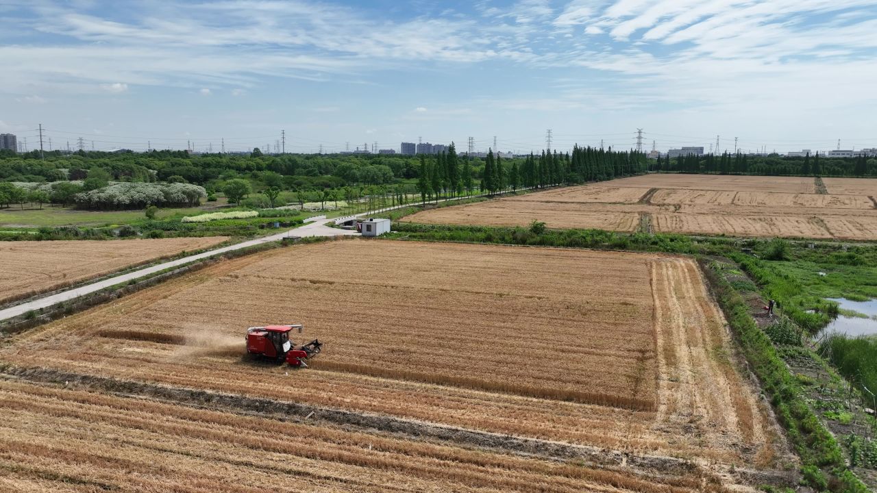 4K航拍昆山农业夏收 54