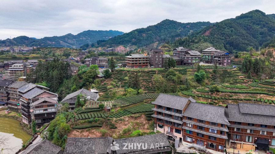 茶田环绕的山地村落