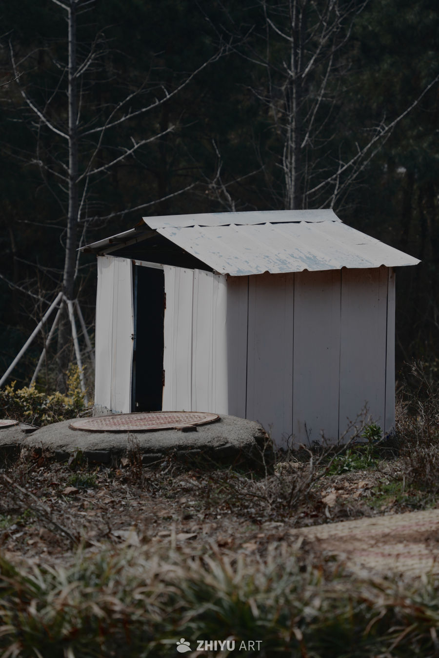 林间小屋静谧景