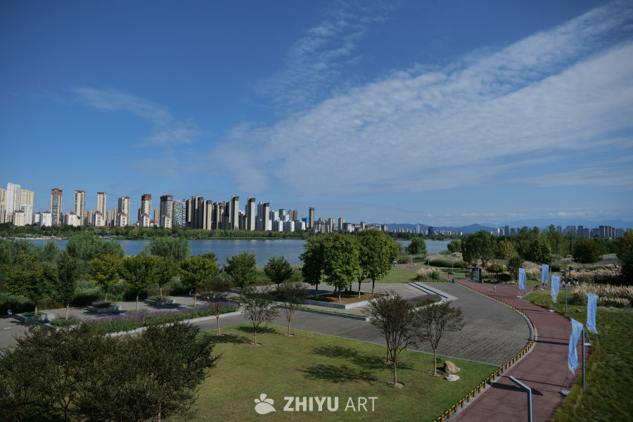 芦苇荡 40