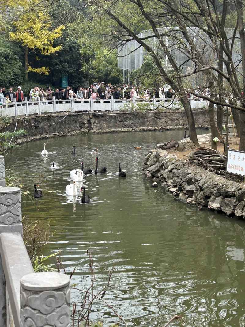 黔灵山之旅 19
