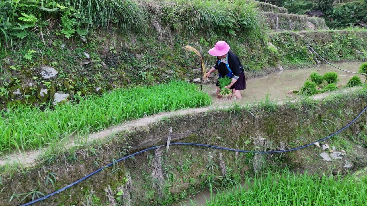 贵州网红加榜梯田航拍 4
