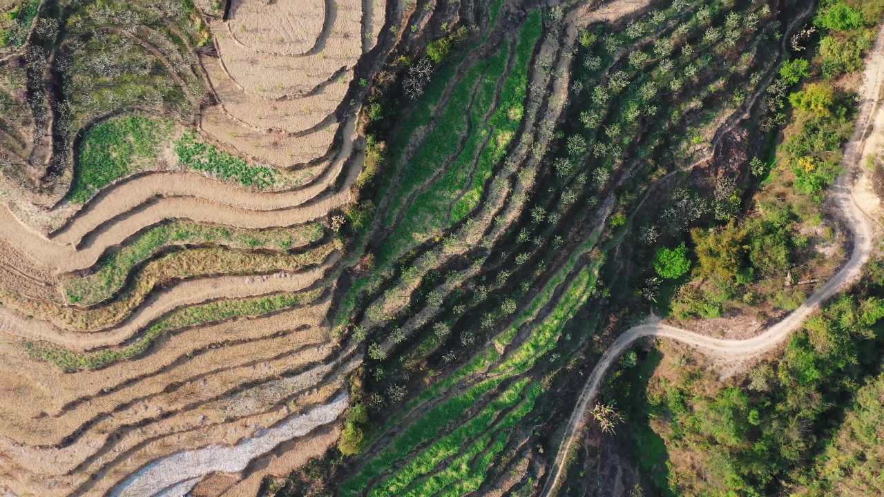 30云南大山里的乡村航拍 梯田下的彝族房屋