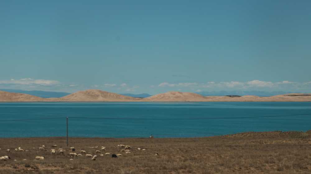 青海湖