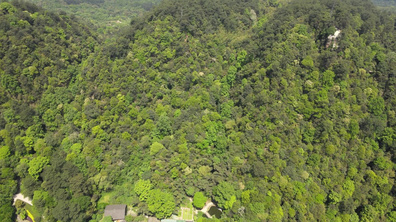 重庆缙云山航拍 9