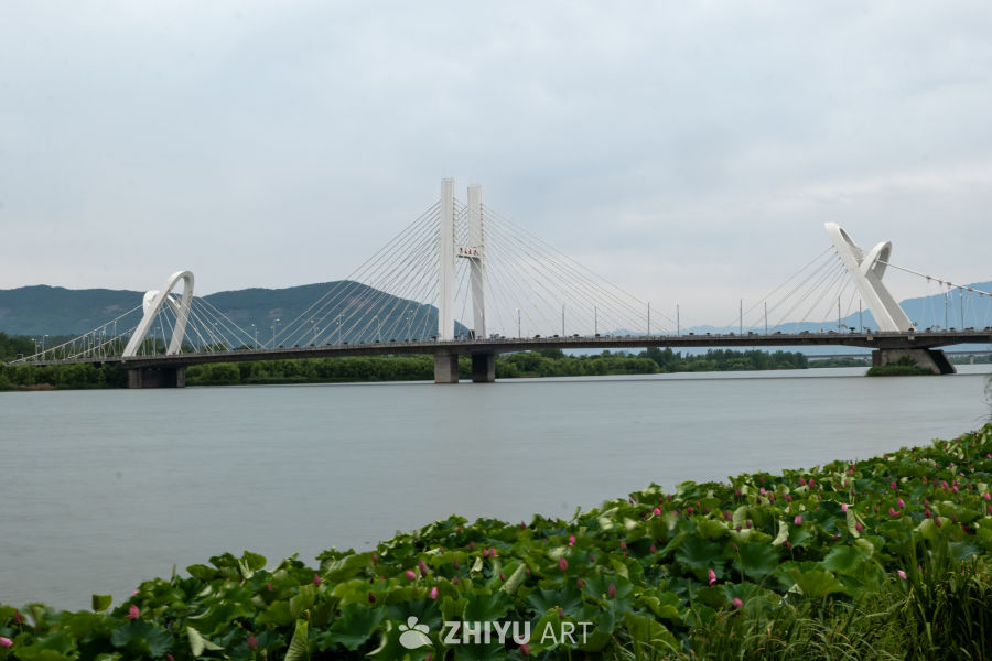 夜色下的大桥 11