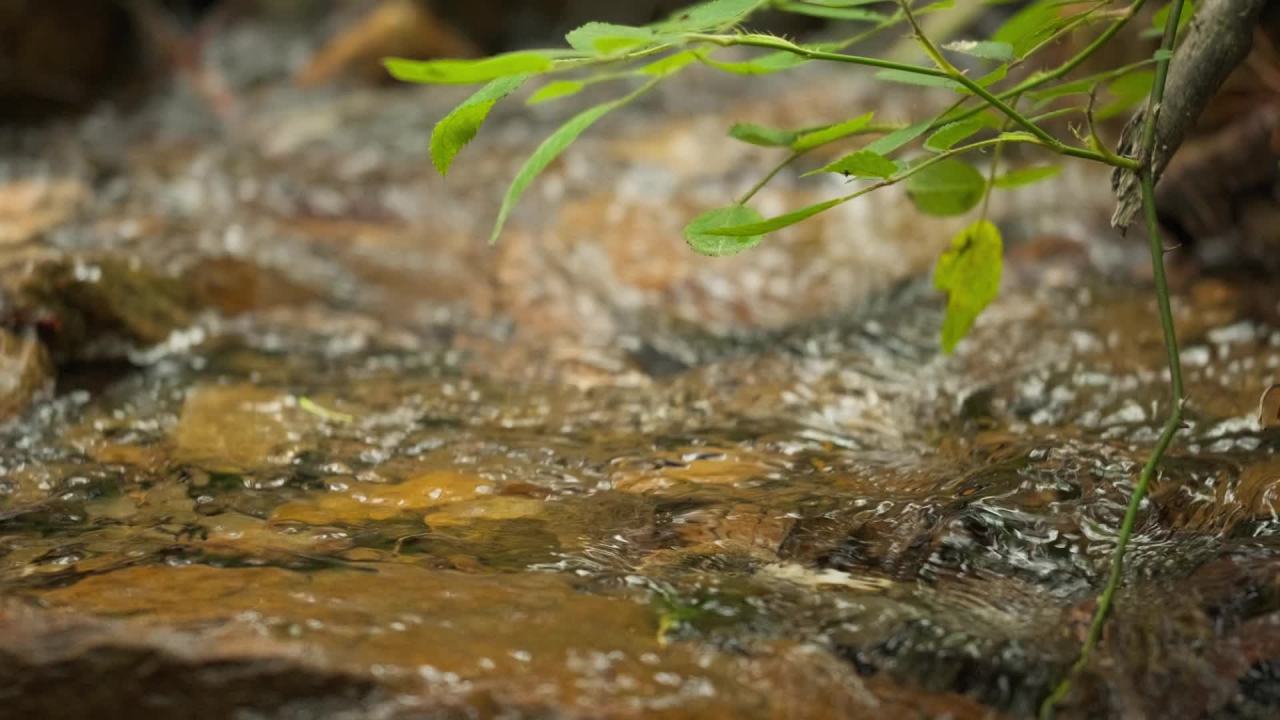 山泉水矿泉水潺潺小溪流水瀑布 44