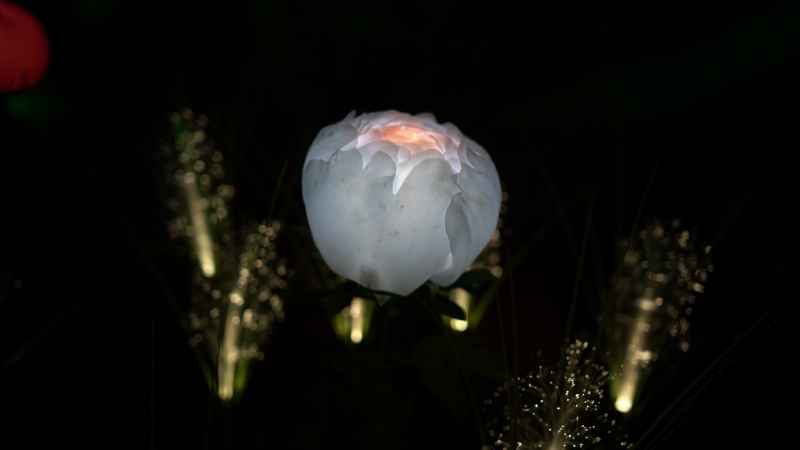 罗城棉花天坑 3