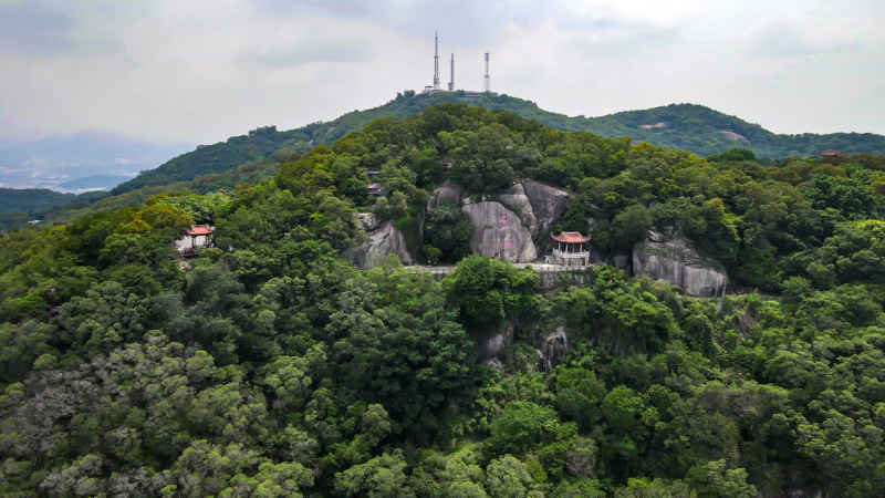 福建泉州城市风光航拍图 