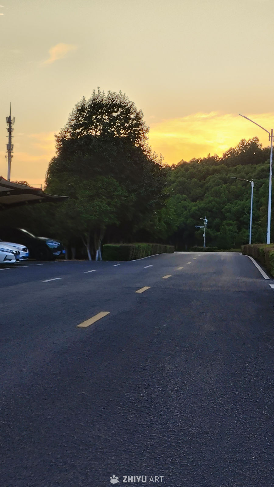 秋日夕阳的金黄