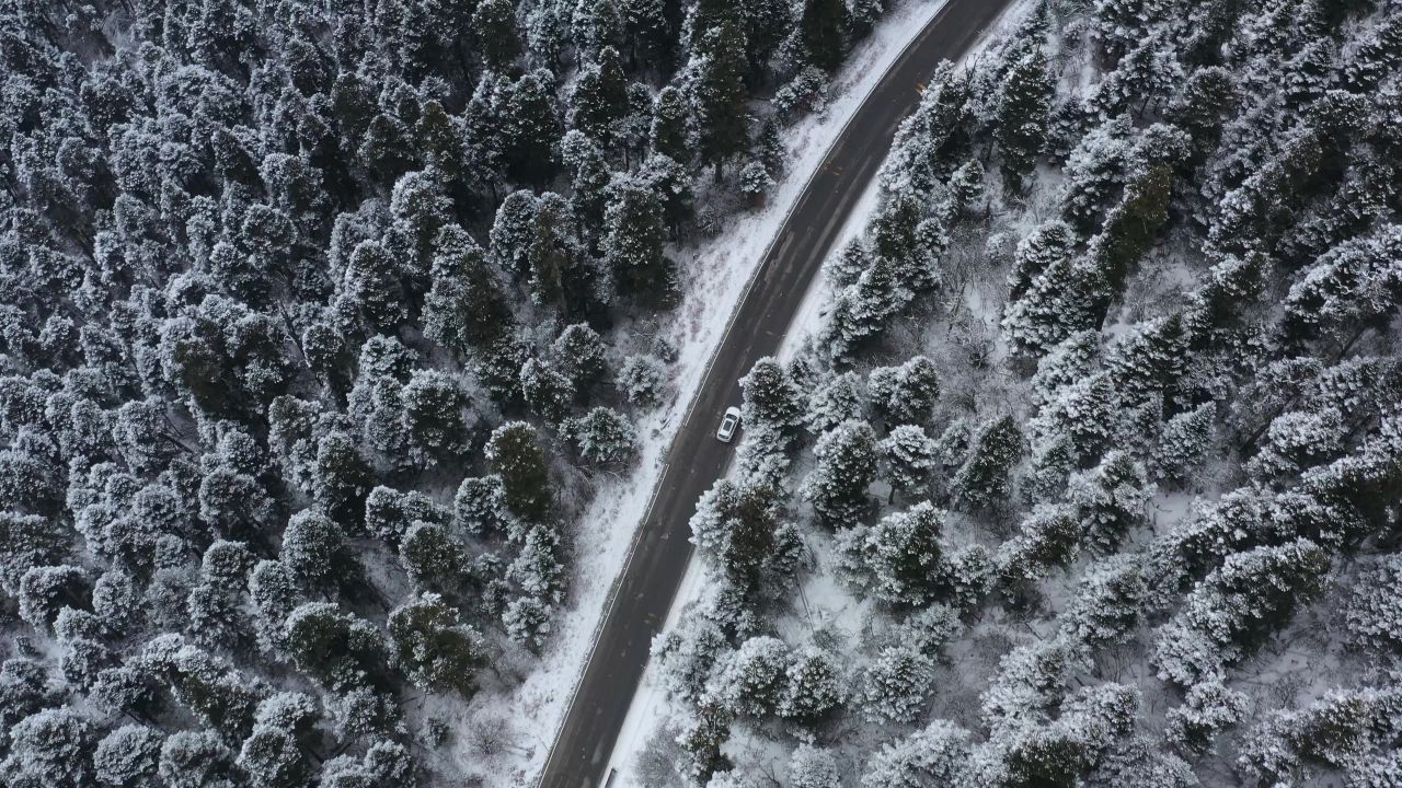 航拍汽车行驶在大雪纷飞的鲁朗林海中的川藏公路上