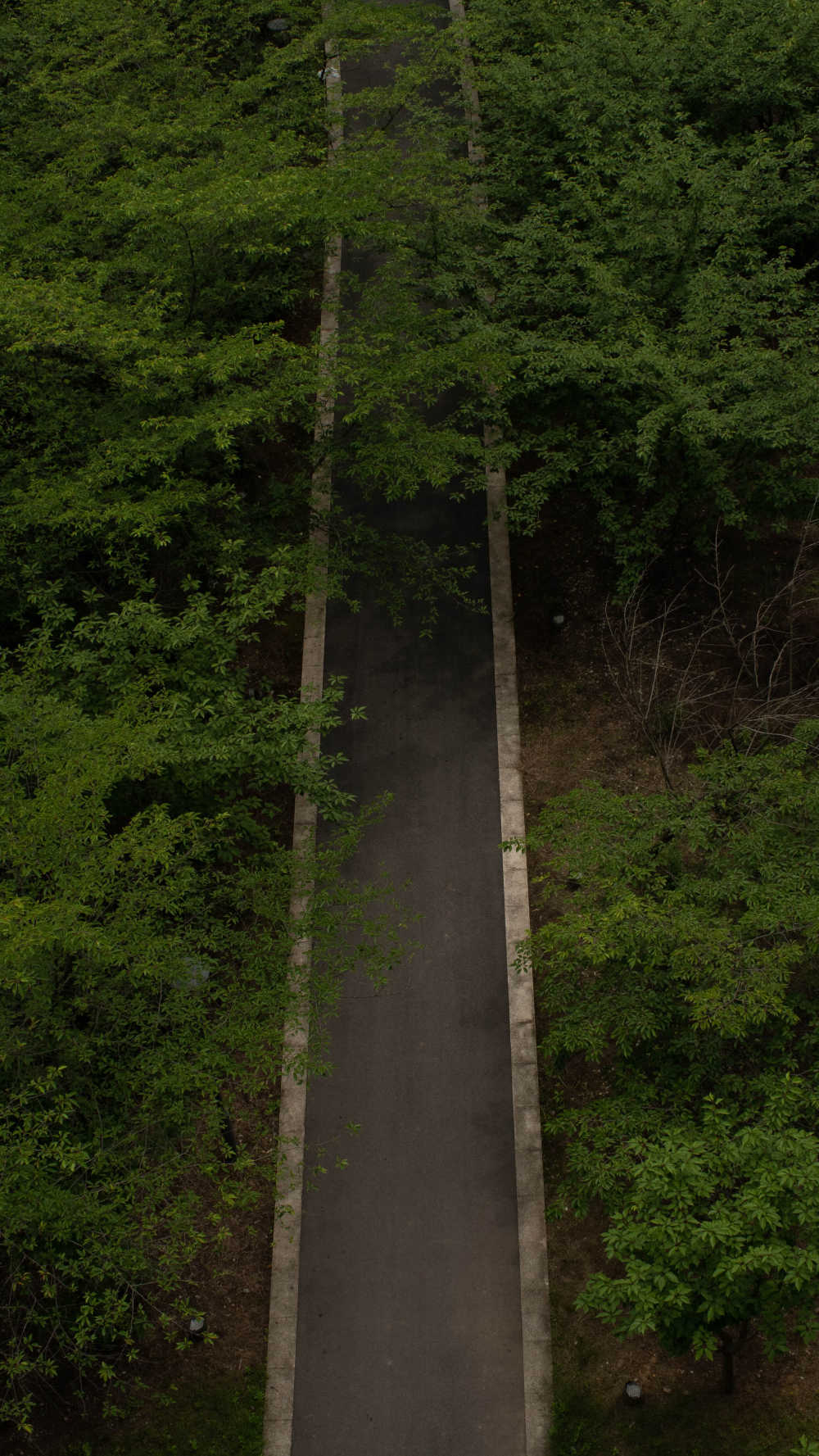田间小路