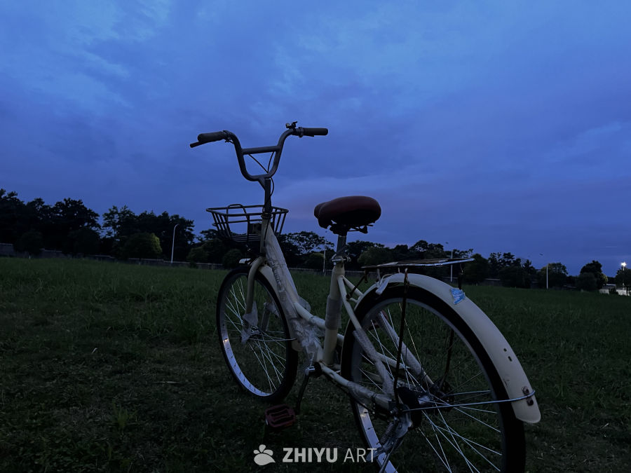 黄昏草地上的静谧自行车