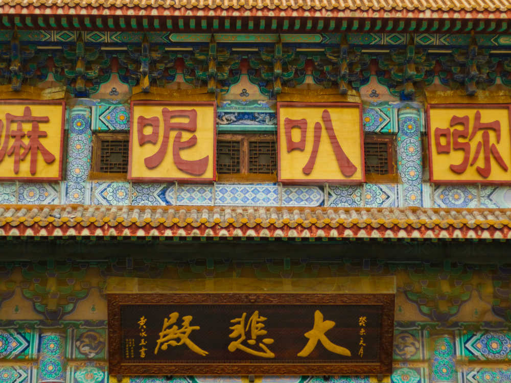 杂